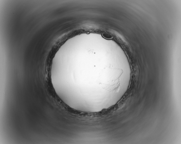 X0000096461016200802141528