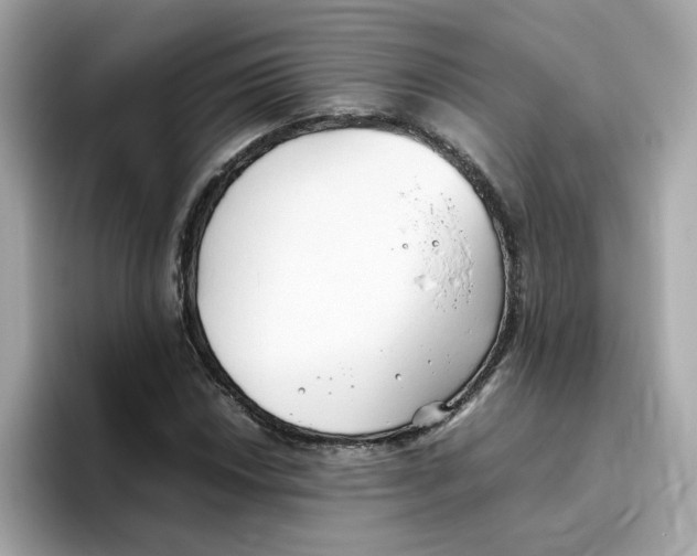 X0000096461018200802141528