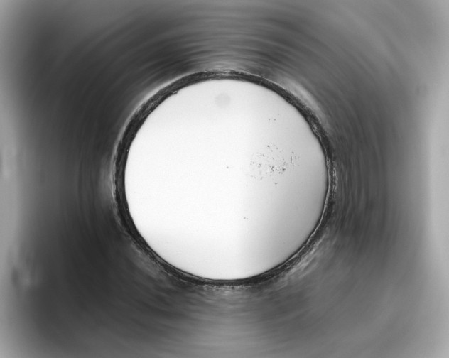 X0000096461020200802141528