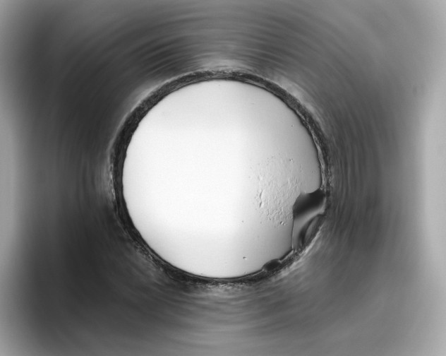 X0000096461022200802141528