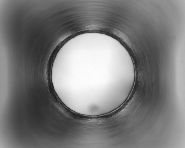 X0000096461026200802141528