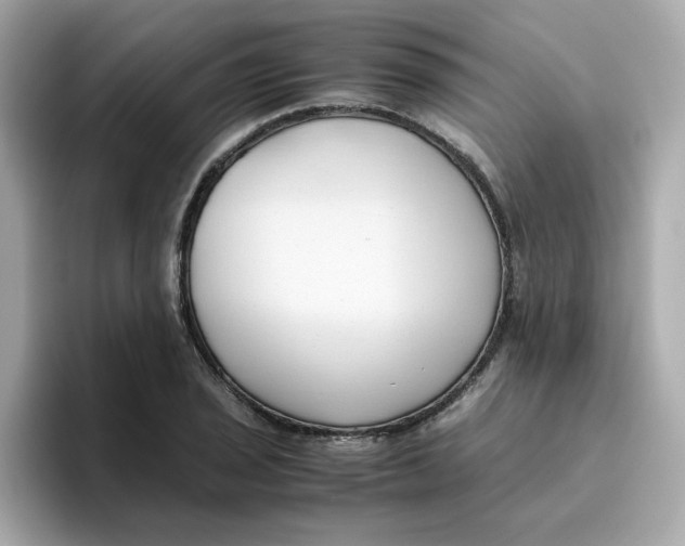 X0000096461029200802141528