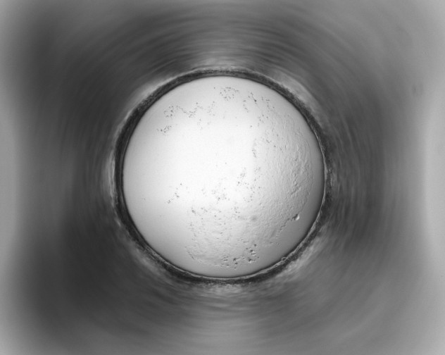 X0000096461030200802141528