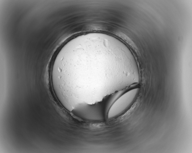 X0000096461031200802141528