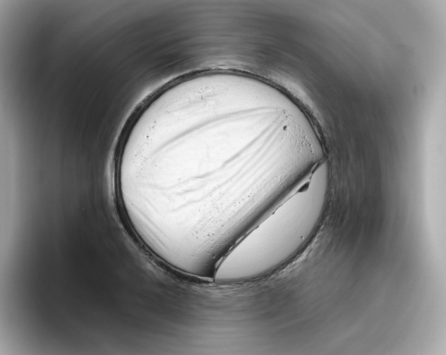 X0000096461032200802141528