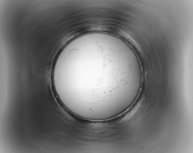 X0000096461033200802141528