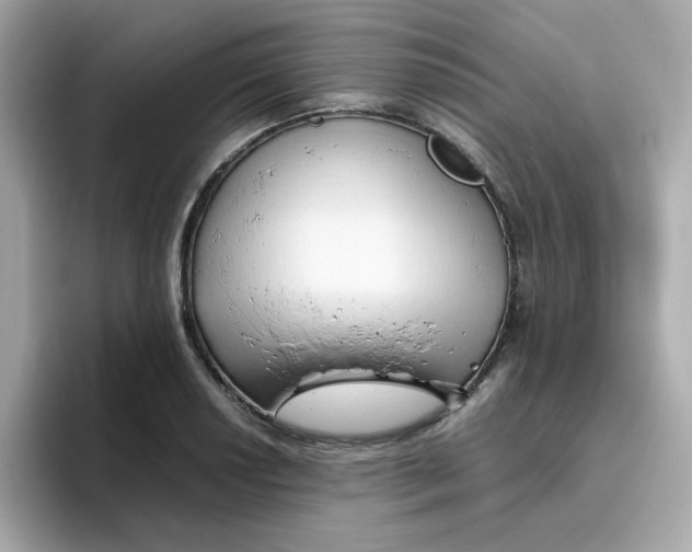 X0000096461034200802141528