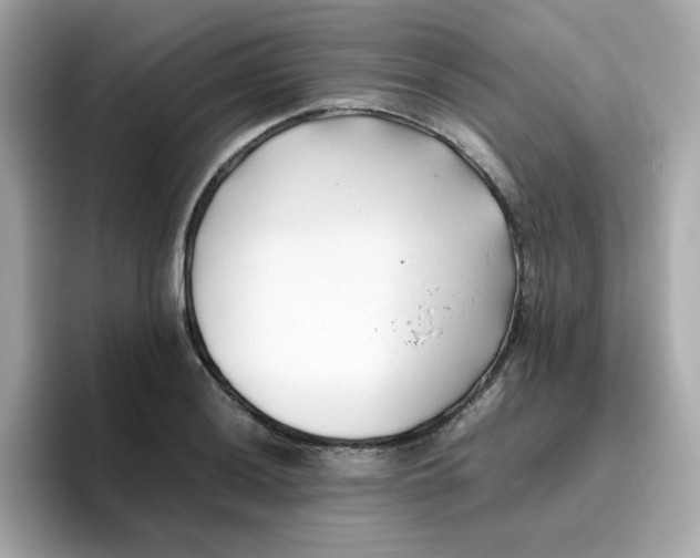 X0000096461036200802141528