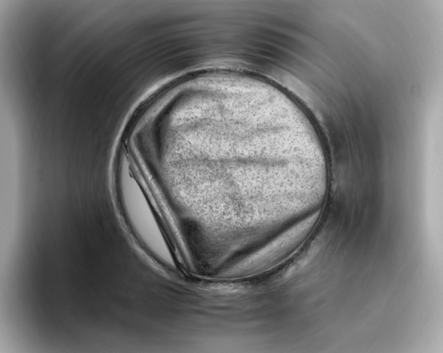 X0000096461037200802141528