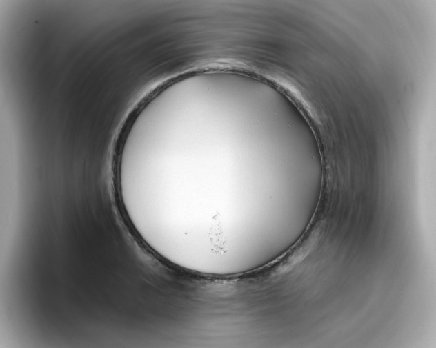 X0000096461038200802141528