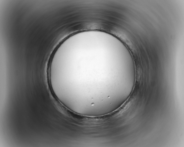 X0000096461039200802141528