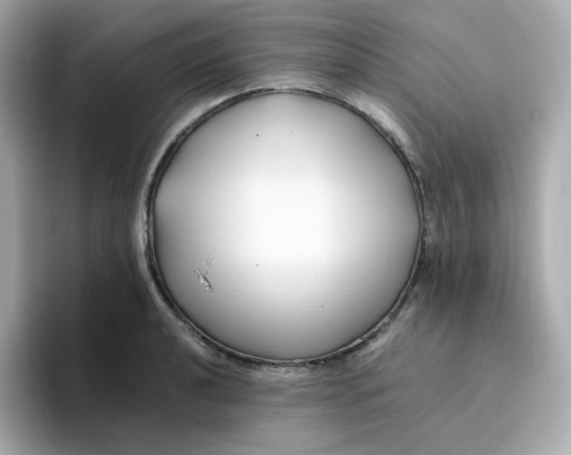 X0000096461040200802141528