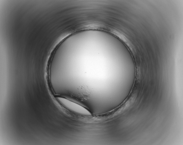 X0000096461042200802141528