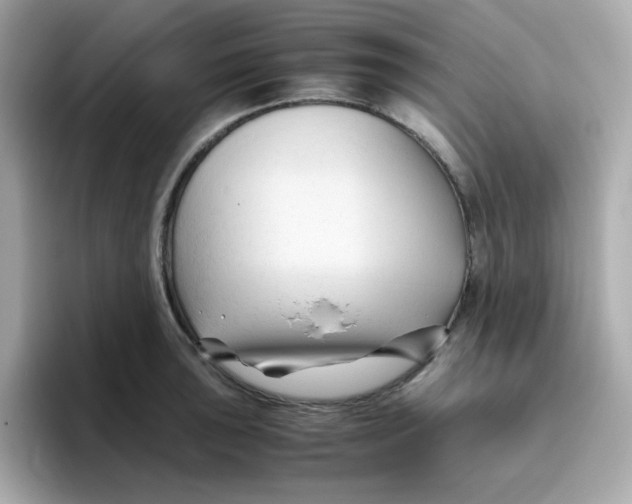 X0000096461043200802141528