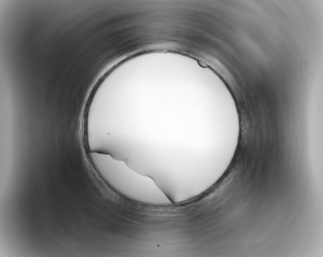 X0000096461044200802141528