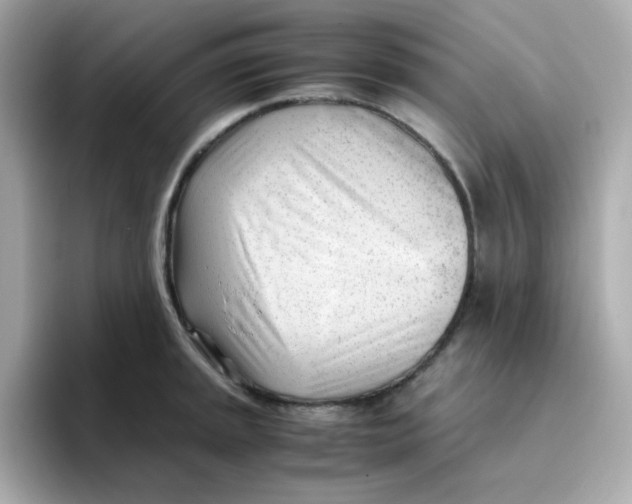 X0000096461045200802141528