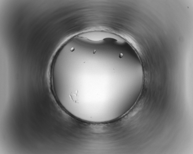 X0000096461046200802141528