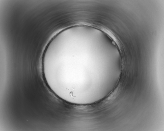 X0000096461048200802141528