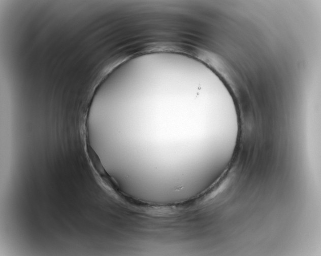 X0000096461049200802141528