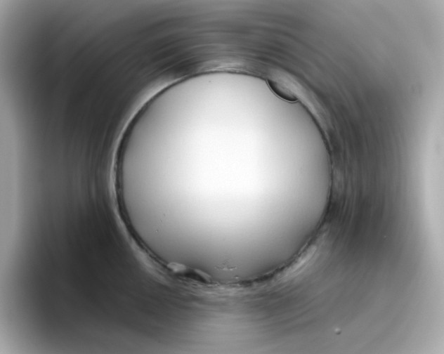X0000096461050200802141528