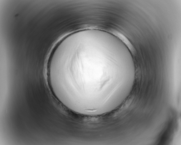 X0000096461051200802141528