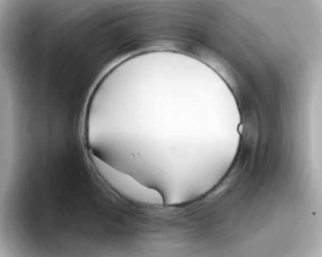 X0000096461052200802141528