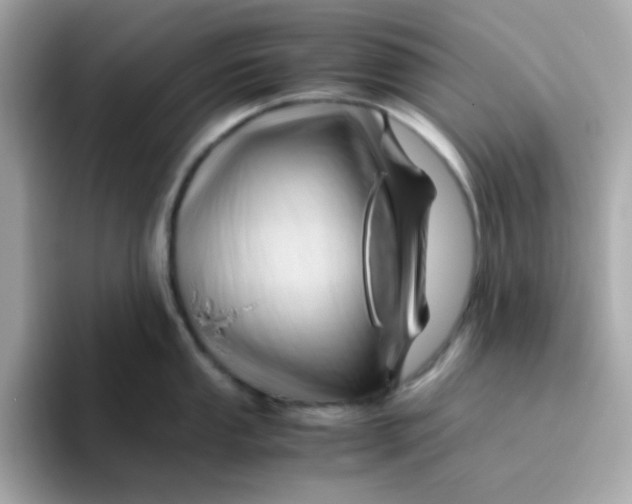 X0000096461053200802141528