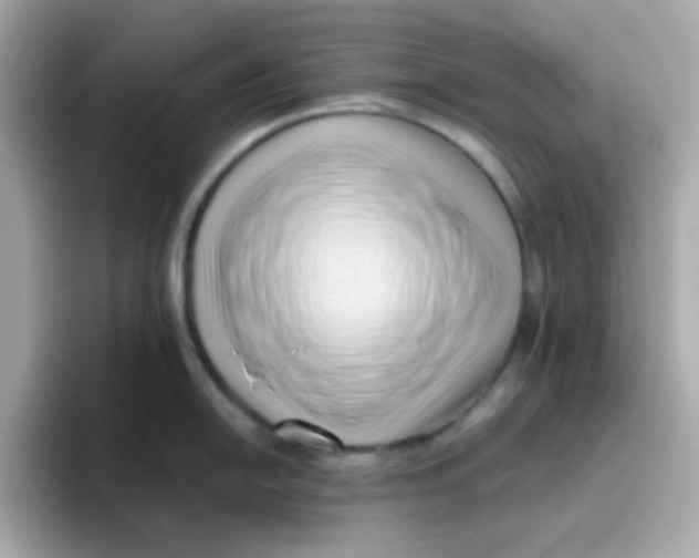 X0000096461054200802141528