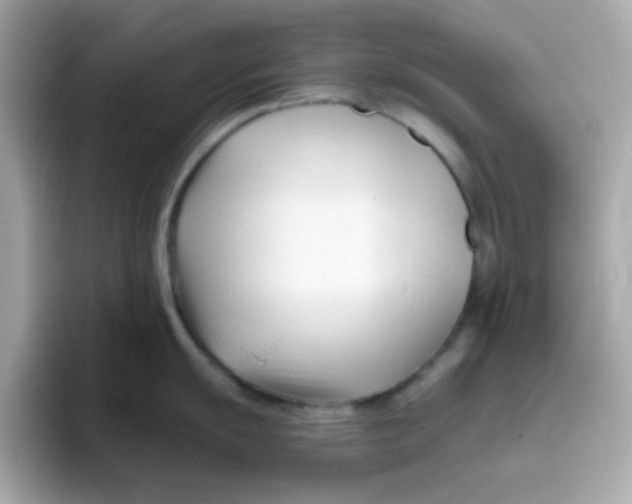 X0000096461055200802141528