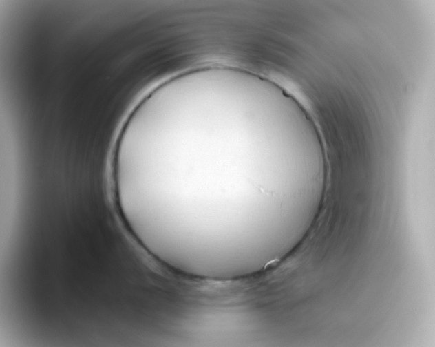 X0000096461056200802141528