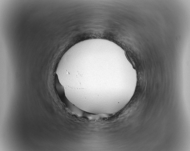 X0000096461057200802141528