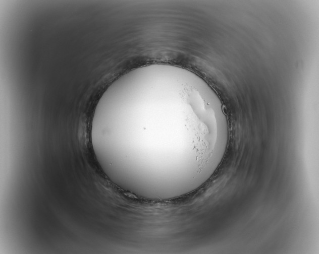 X0000096461058200802141528
