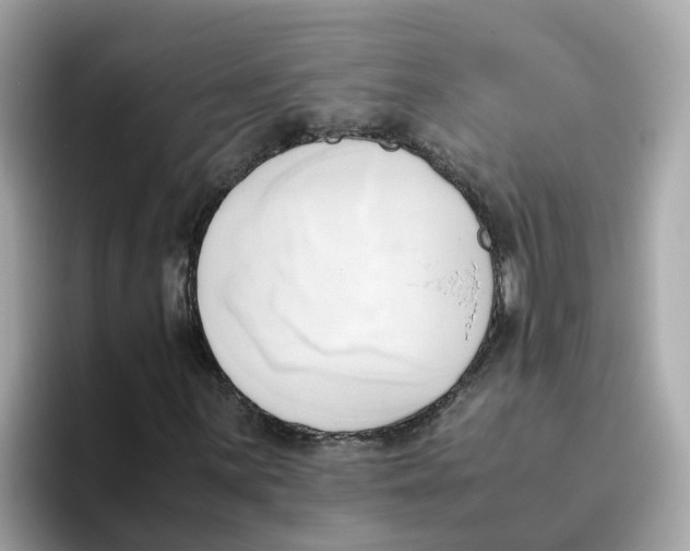 X0000096461059200802141528