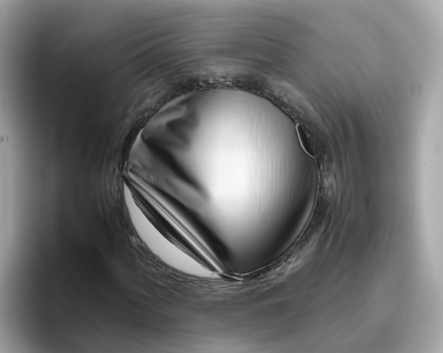 X0000096461060200802141528