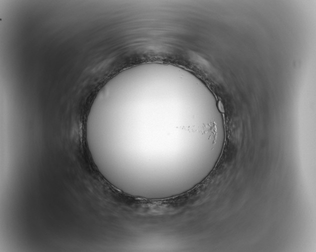 X0000096461061200802141528
