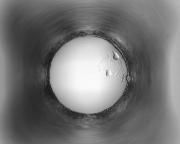 X0000096461062200802141528