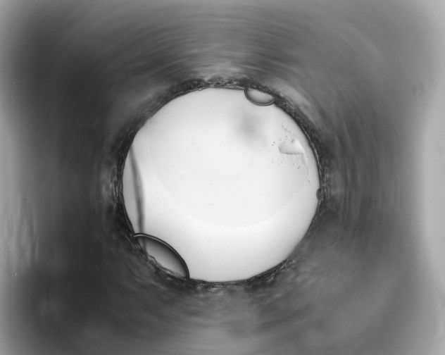 X0000096461063200802141528