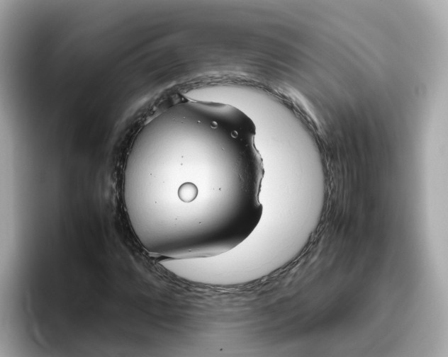 X0000096461064200802141528