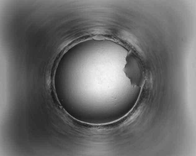X0000096461065200802141528