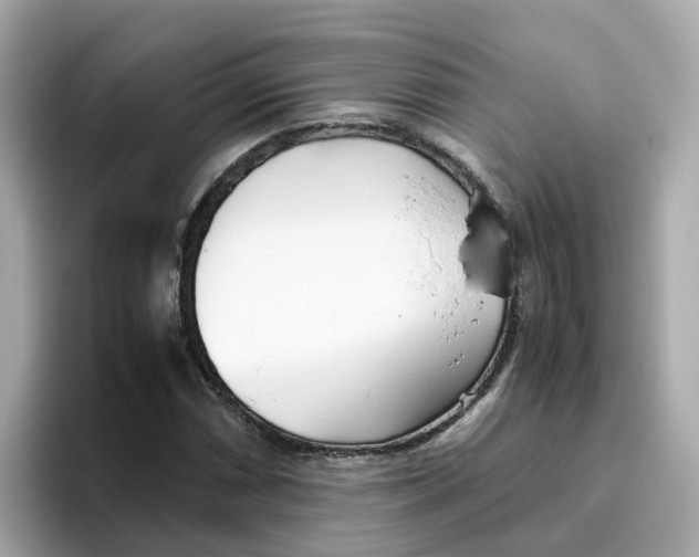 X0000096461066200802141527