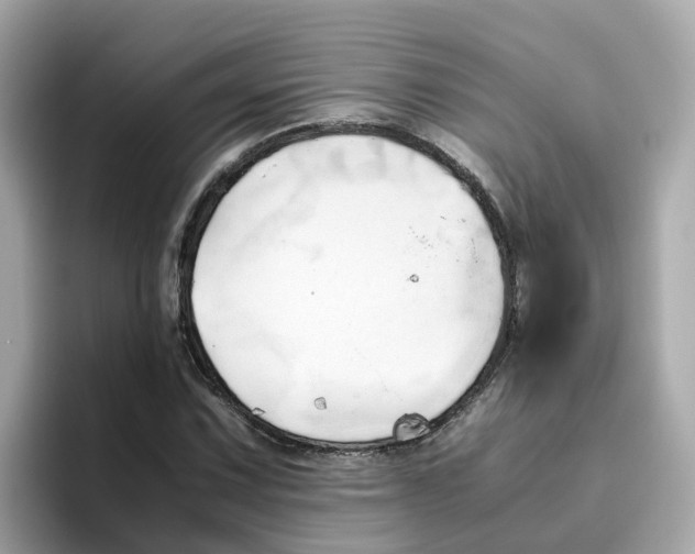 X0000096461067200802141527