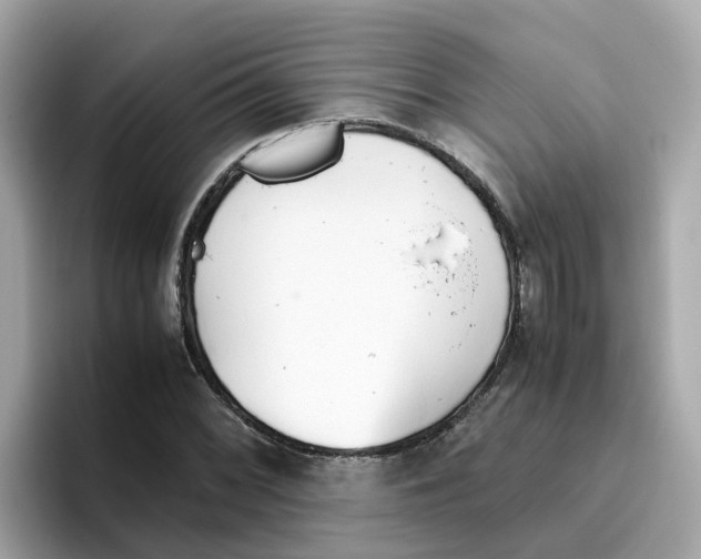 X0000096461068200802141527