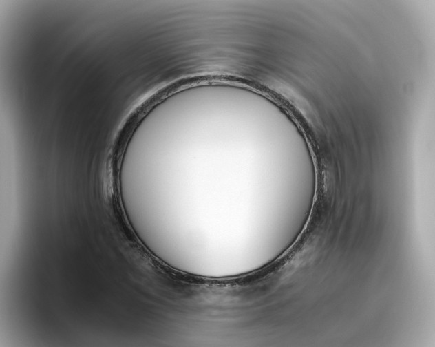 X0000096461069200802141527