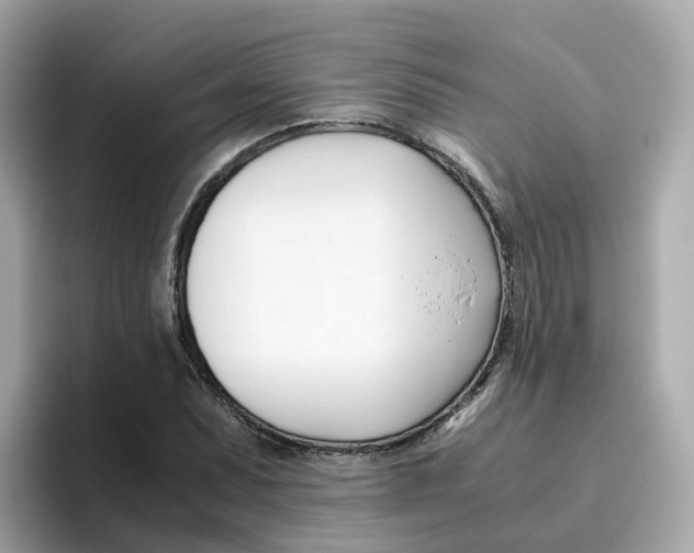 X0000096461071200802141527