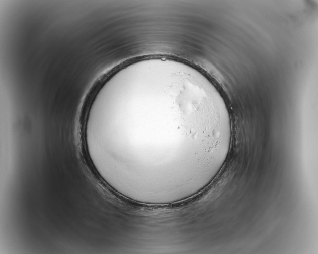 X0000096461072200802141527