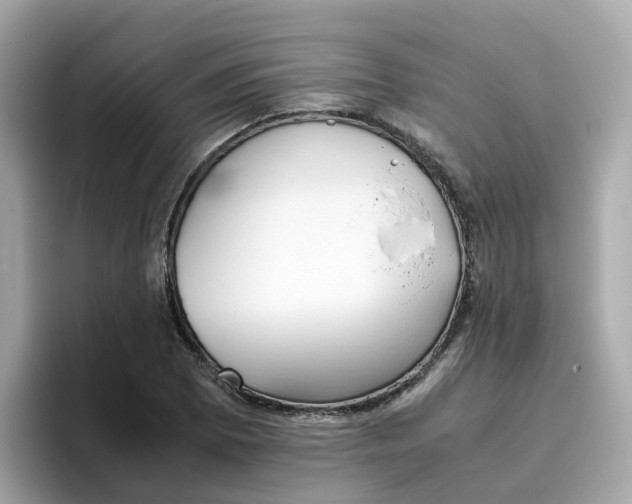 X0000096461073200802141527