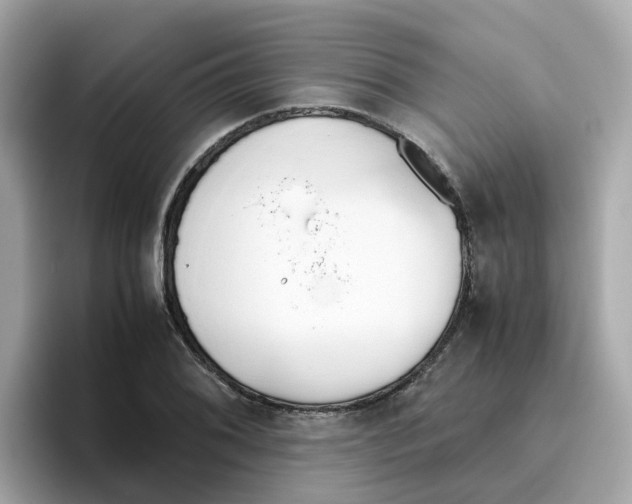 X0000096461076200802141527