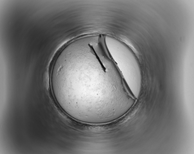 X0000096461079200802141527