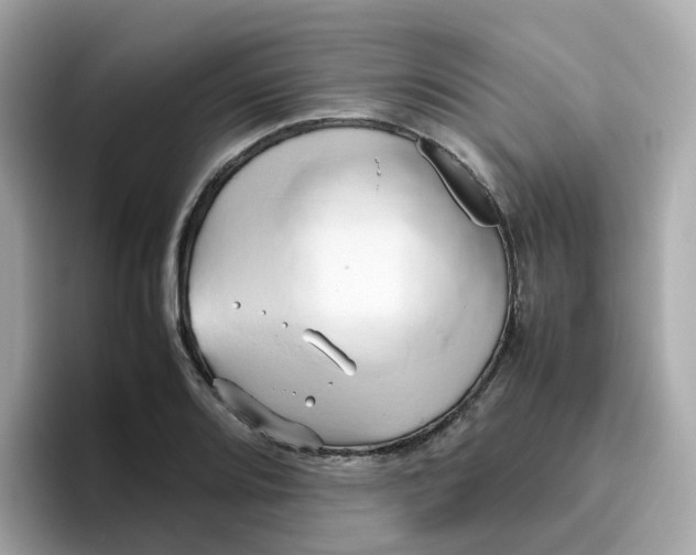 X0000096461080200802141527