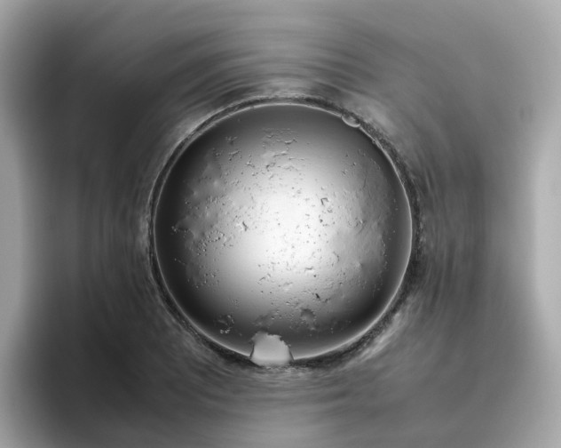 X0000096461081200802141527
